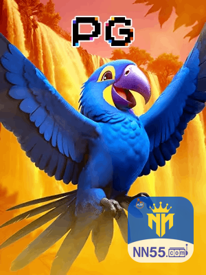 NN55 bônus — cashback 15 por cento e níveis VIP